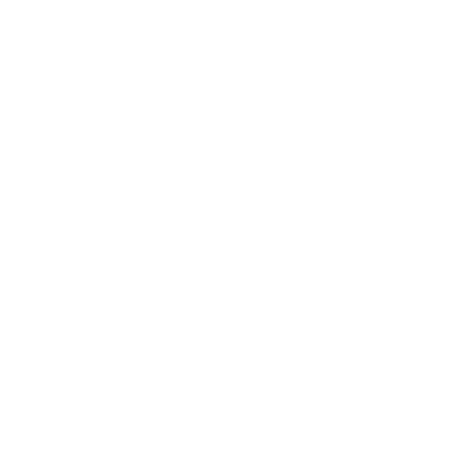 p5.js WP – WordPress Plugin